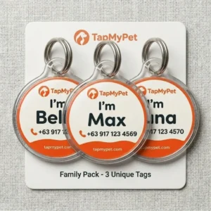 QR + NFC Pet Tag (Bundle of 3)