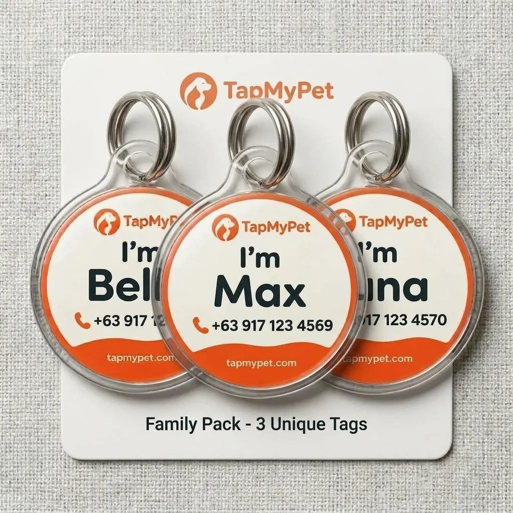 QR + NFC Pet Tag (Bundle of 3)